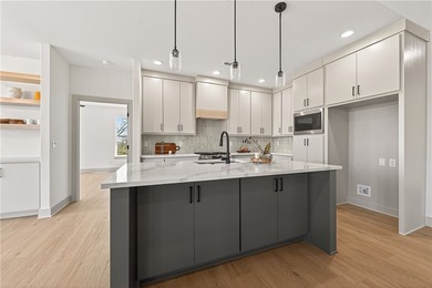 Stunning modern luxury new construction with breathtaking Ozark - photo 43