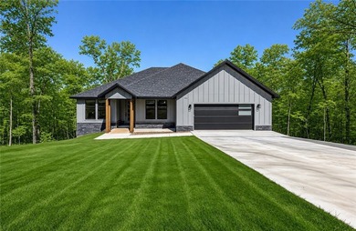 Stunning modern luxury new construction with breathtaking Ozark - photo 45