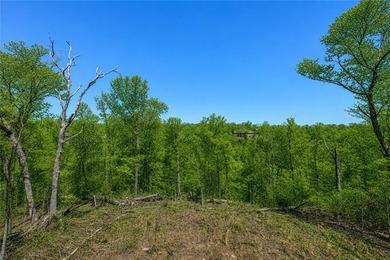 Stunning modern luxury new construction with breathtaking Ozark - photo 46