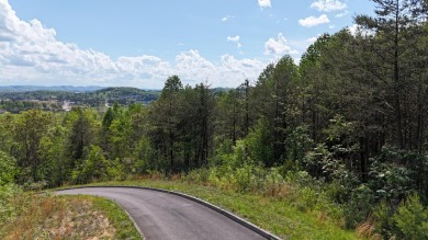 Lake Lot For Sale in Bean Station, Tennessee