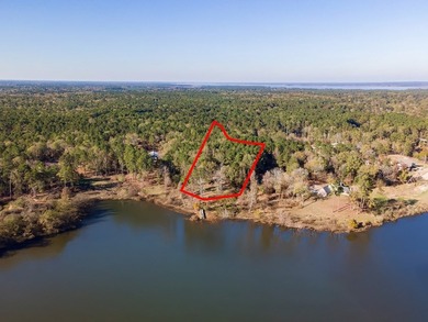 Discover a rare opportunity to own a stunning log home along the - photo 4