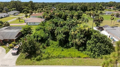 Lehigh Acres Area Lot For Sale in Lehigh Acres Florida