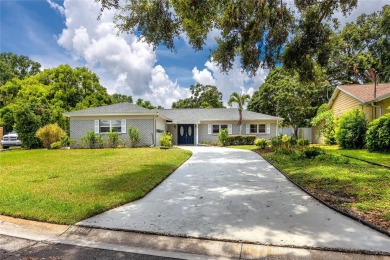 Lake Carroll Home For Sale in Tampa Florida
