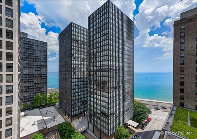 Lake Michigan - Cook County Condo For Sale in Chicago Illinois