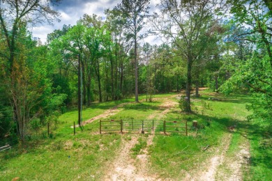 (private lake, pond, creek) Acreage For Sale in Newton Texas