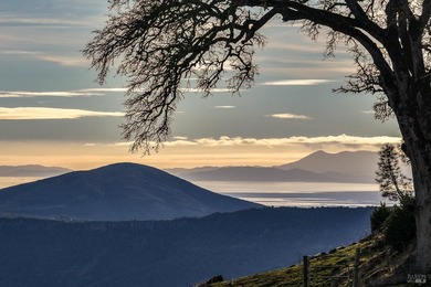 Discover Your Napa Valley Penthouse Adventure offering privacy - photo 3