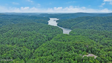 Dale Hollow Lake Acreage For Sale in Allons Tennessee