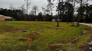 Toledo Bend Lake Lot For Sale in Hemphill Texas