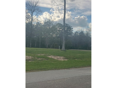 Toledo Bend Lake Lot For Sale in Hemphill Texas