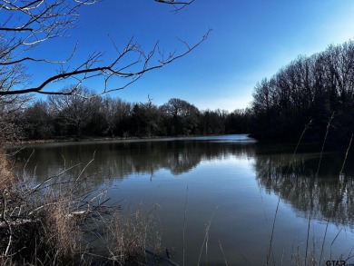 Lake Acreage For Sale in Van, Texas