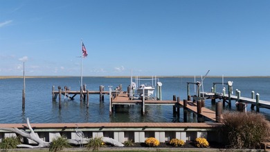 Bayfront boaters' paradise. Welcome to 1411 East Shore - photo 3