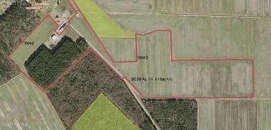 Rare opportunity for Farmland in Eastern NC with approximately - photo 1