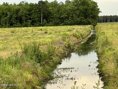 Rare opportunity for Farmland in Eastern NC with approximately - photo 5