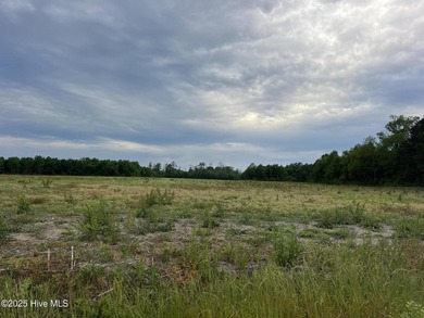 Rare opportunity for Farmland in Eastern NC with approximately - photo 6