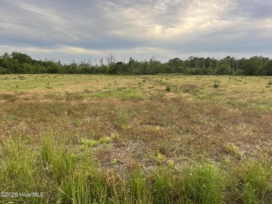 Rare opportunity for Farmland in Eastern NC with approximately - photo 8