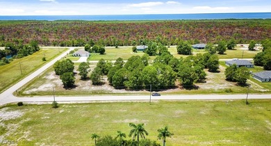 Cape Coral Area Lot For Sale in Cape Coral Florida
