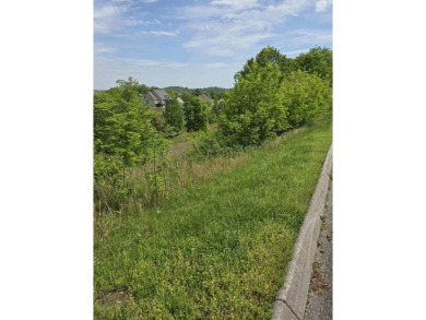 Lake Lot For Sale in Dandridge, Tennessee