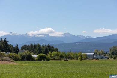 Stunning Panoramic Mountain Views on 9+ Acres! New deluxe shed - photo 12