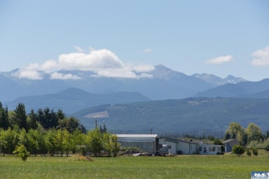 Stunning Panoramic Mountain Views on 9+ Acres! New deluxe shed - photo 13