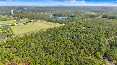 This exceptional 41-acre property offers the perfect blend of - photo 14