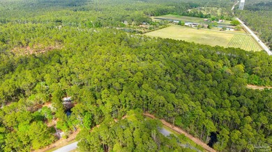This exceptional 41-acre property offers the perfect blend of - photo 17