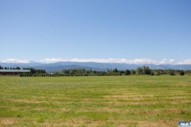 Stunning Panoramic Mountain Views on 9+ Acres! New deluxe shed - photo 19