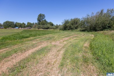 Stunning Panoramic Mountain Views on 9+ Acres! New deluxe shed - photo 21