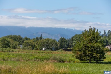 Stunning Panoramic Mountain Views on 9+ Acres! New deluxe shed - photo 31