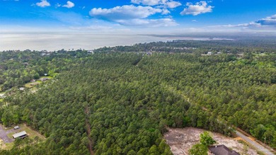 This exceptional 41-acre property offers the perfect blend of - photo 31