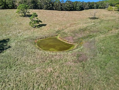 Southern Missouri Ranch - 400 Acres with Middlefork River, Two - photo 10