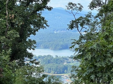 Lake Lot For Sale in Hayesville, North Carolina