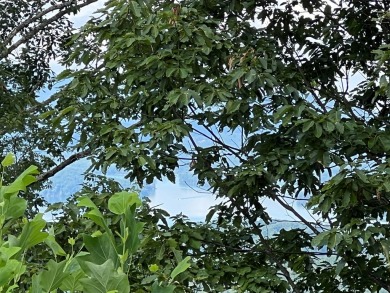 Build Your Dream Home in Mountain Harbour! This beautiful lot is - photo 2