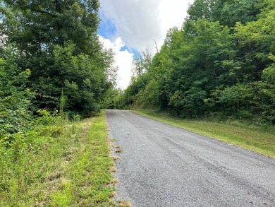 Build Your Dream Home in Mountain Harbour! This beautiful lot is - photo 3