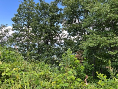 Build Your Dream Home in Mountain Harbour! This beautiful lot is - photo 4