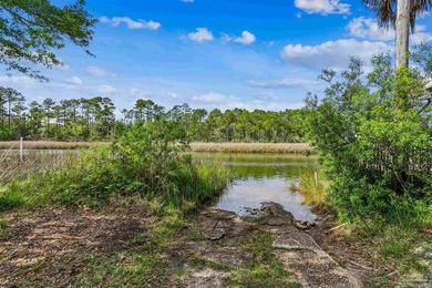 This exceptional 41-acre property offers the perfect blend of - photo 50