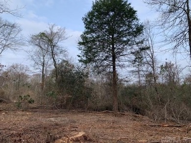 DeGray Lake Acreage For Sale in Bismarck Arkansas