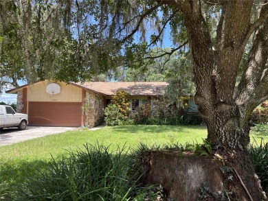 Fish Lake Home For Sale in Kissimmee Florida