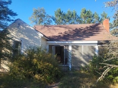 (private lake, pond, creek) Home For Sale in Idlewild Michigan