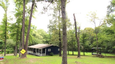 Lake Home For Sale in Murchison (Area), Texas