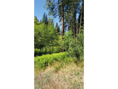 Lake Arrowhead Lot For Sale in Cedar Glen California