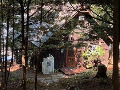 Charming Schroon Lakefront Chalet! Step back into Adirondack - photo 1
