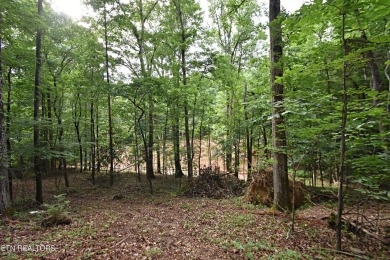Lake Acreage For Sale in Knoxville, Tennessee