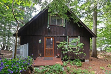 Charming Schroon Lakefront Chalet! Step back into Adirondack - photo 2