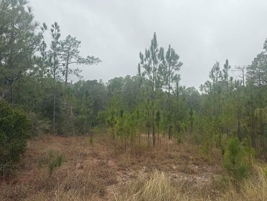 Lake Sam Rayburn  Lot For Sale in Brookeland Texas