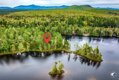 Discover the perfect opportunity to own a little over a half an - photo 1