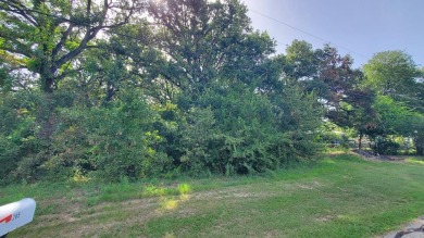 Cedar Creek Lake Lot For Sale in Gun Barrel City Texas