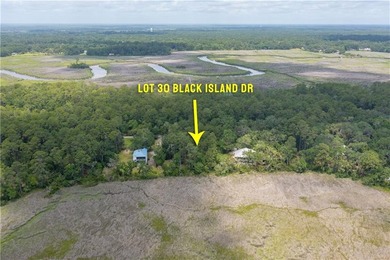 Wake up to breathtaking marshfront sunrises from this 1.13-acre - photo 11