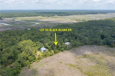Wake up to breathtaking marshfront sunrises from this 1.13-acre - photo 12