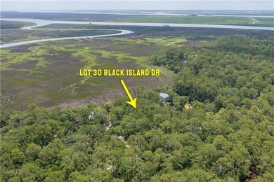 Wake up to breathtaking marshfront sunrises from this 1.13-acre - photo 15