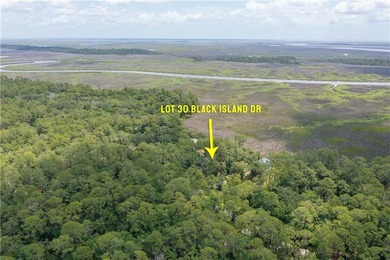 Wake up to breathtaking marshfront sunrises from this 1.13-acre - photo 17